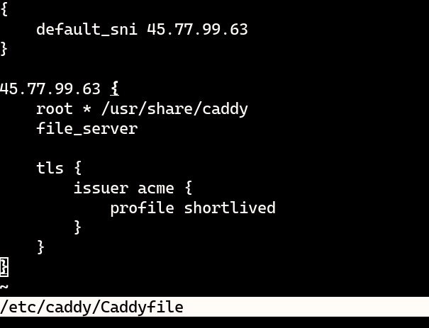 刚发现 Let's Encrypt 现在支持签发 IP TLS 证书了！七月的时候 Let's Encrypt 发了个 blog 宣布 IP 证书进 staging 环境，刚发现十二月底的时候进 prod 了