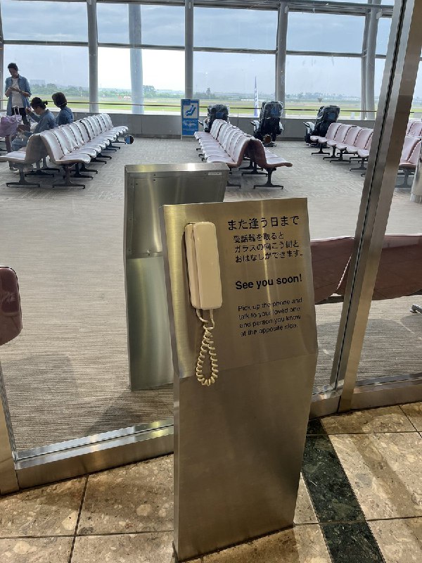 Agnes Chow 周庭 (@chowtingagnes)