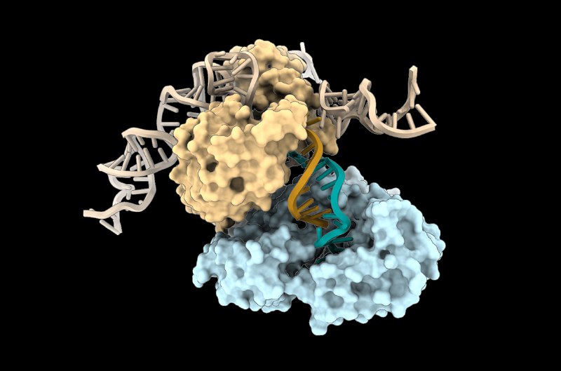Scientists stunned by ‘fundamentally new way’ life produces DNA