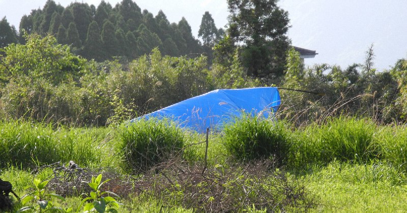 遊覧ヘリ不時着で3人負傷　上空でエンジン停止　熊本・阿蘇