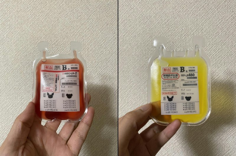 ミワチヒロ (@miwa_chi_)