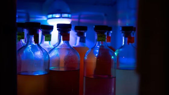清掃員が誤ってブレーカーを落とし大学の超低温冷凍庫が停止して25年の研究成果が失われる
