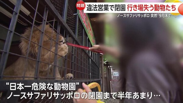 行き場失う500匹の動物たち…北海道の動物園「ノースサファリサッポロ」違法営業で9月末閉園　静岡県に移転検討も「お引き受けするような代物ではない」