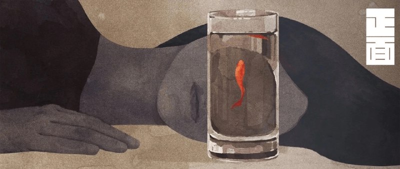 正面连接｜从家中偷走一个11岁女孩