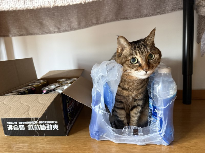 Micro 小熊猫 (@xxm459259)