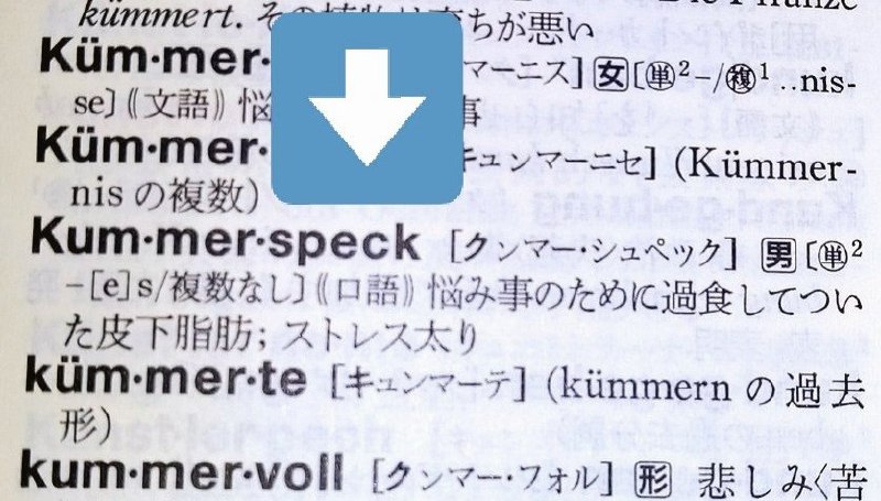 ラテン語さん (@latina_sama)