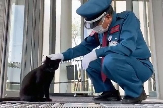 猫と警備員、黒猫ケンちゃんが天国へ　「今でもあの角から来そうで」