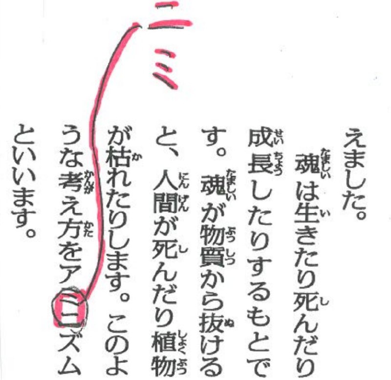 「アミニズム」？「アニミズム」？