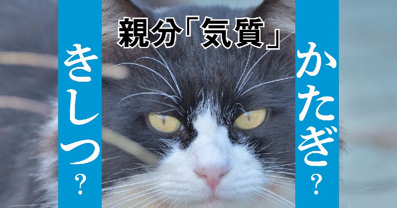 「親分きしつ」か、「親分かたぎ」か