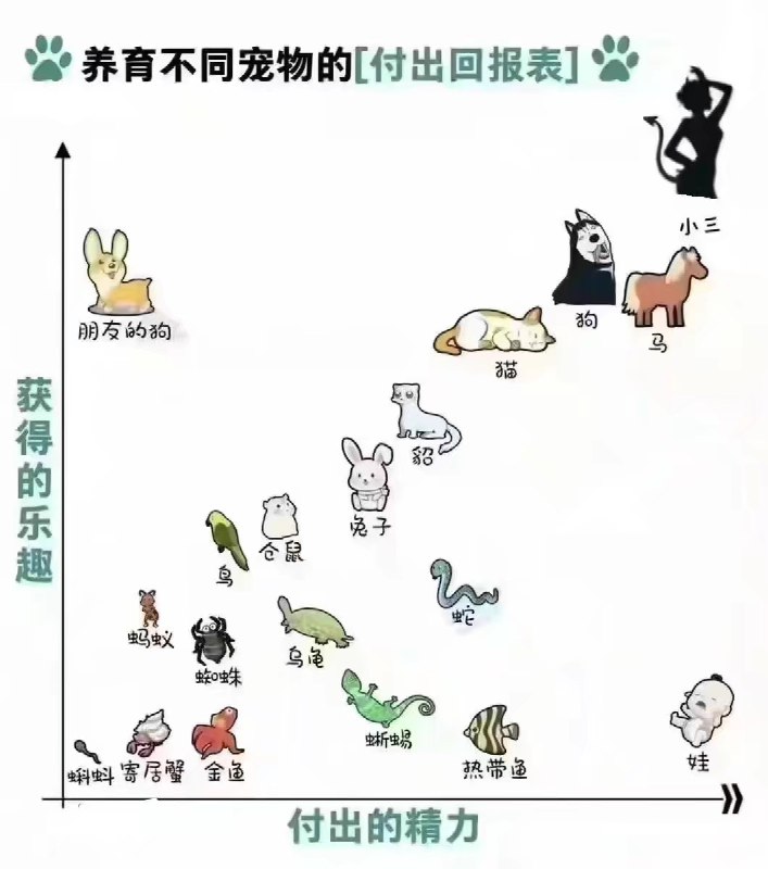 安然 (@Woooooooowilike)