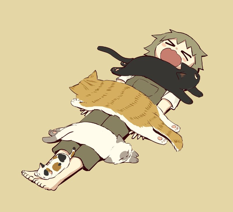 アボガド6 (@avogado6)