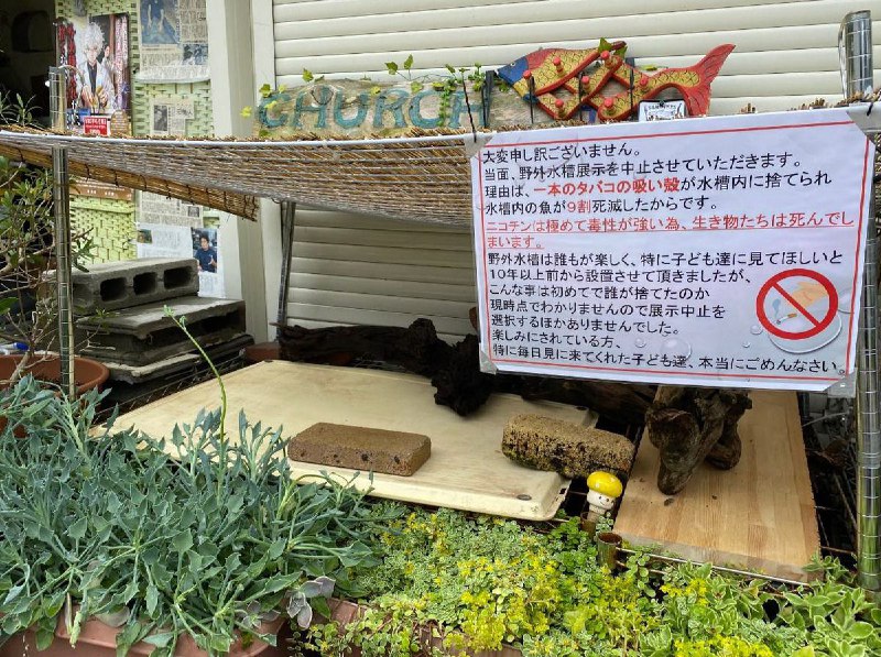 魚５０匹大量死、たばこポイ捨て原因か　京都の水族館、野外水槽の底に吸い殻