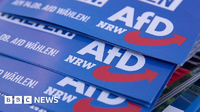Germany's far-right AfD suffers series of candidate deaths ahead of local vote