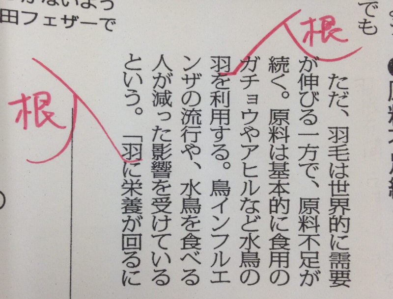 その「はね」は？ 「羽」と「羽根」の使い分け