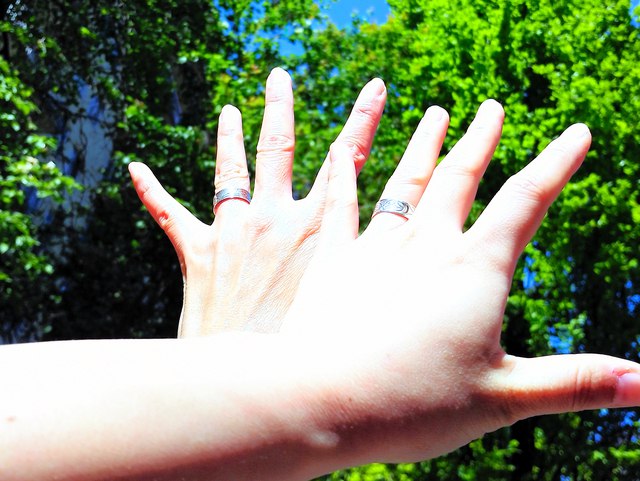 日本人女性カップル、カナダ政府が難民認定　「日本国内で迫害」