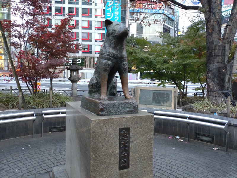 「ハチ公」は正しい呼び名か？