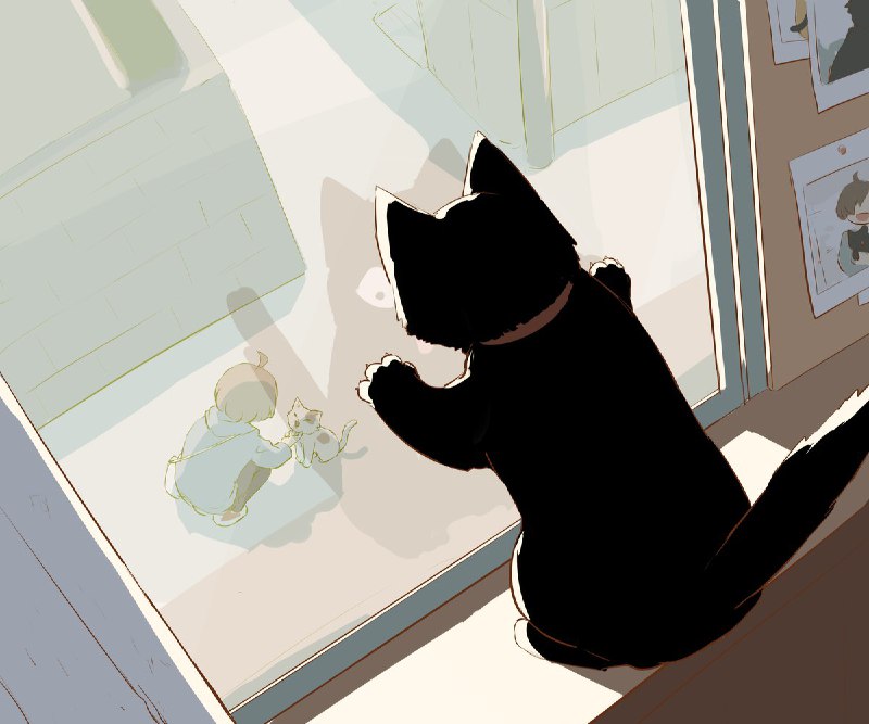 アボガド6 (@avogado6)