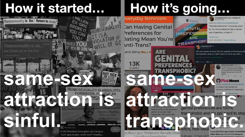 catsies (@catsiesxx)