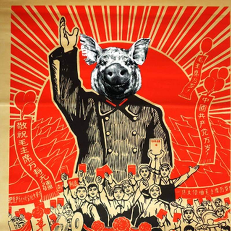 Savoir｜影樂書年代誌 (@Savoirtw)