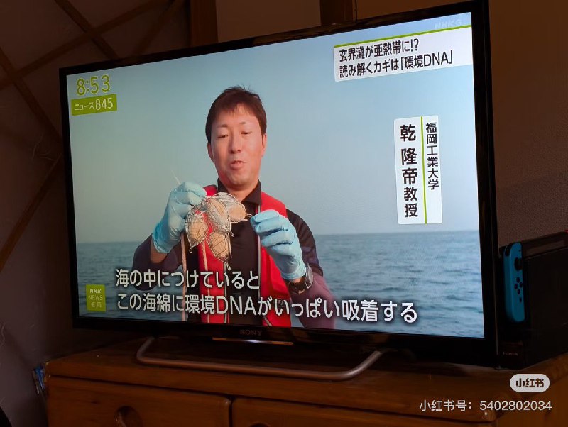 StarKnight (@StarKnight)