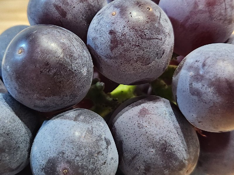 青髪のテツ｜野菜のプロ (@tetsublogorg)