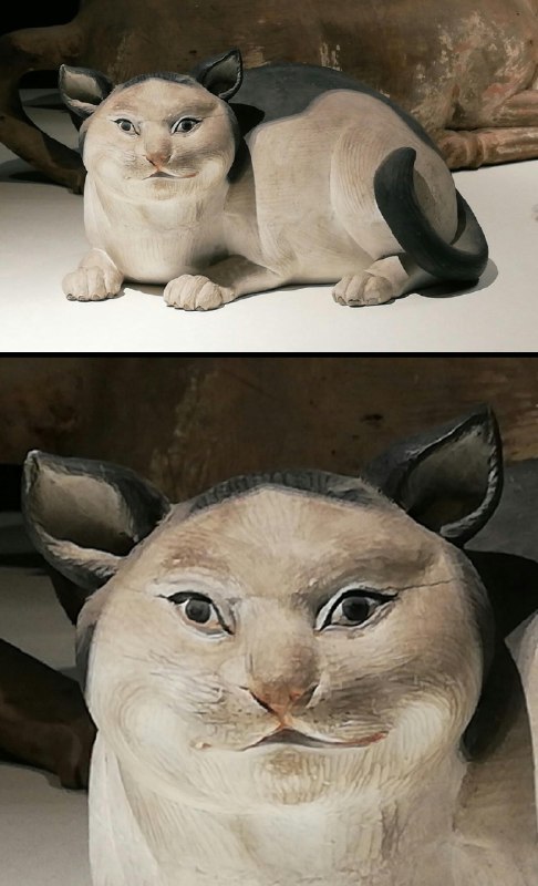 hitom 中国語勉強中 (@hitom84)