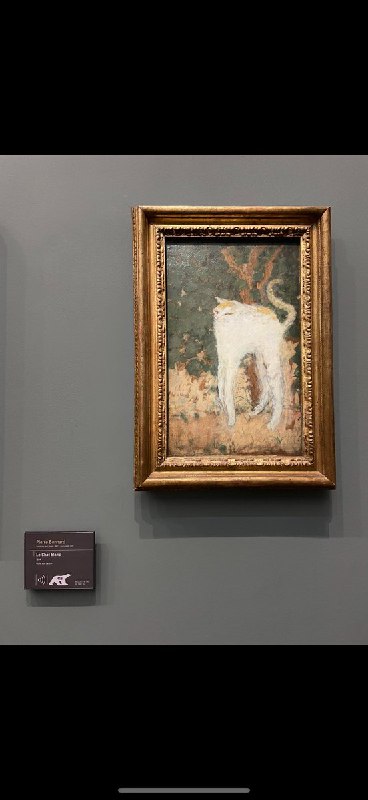 朝比奈ひかり@GenZマーケ (@Asahina_hikari)