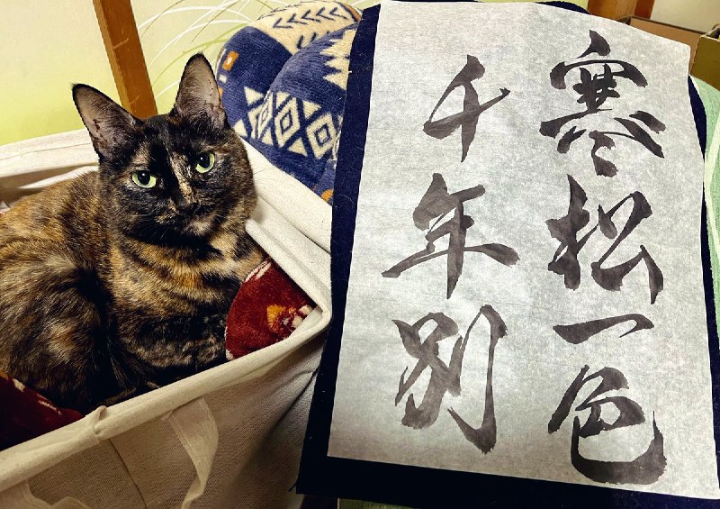 のぐち道場ののぐ(Nog) (@noguchi_dojo)