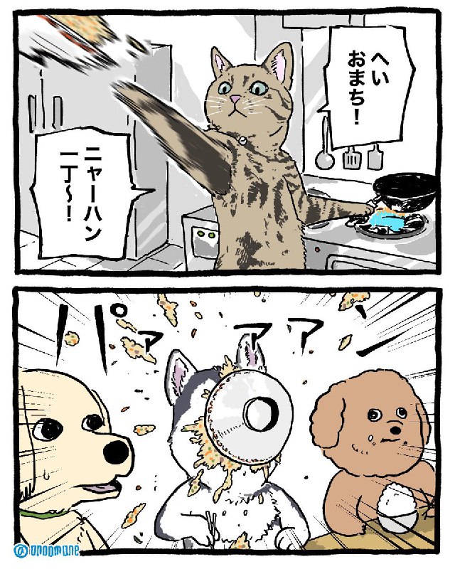 おのあまね (@onoamane)