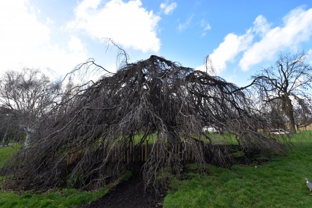 巫俊（ふしゅん） (@fushunia)