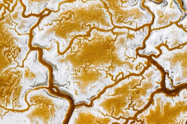 What Actually Makes You Senior