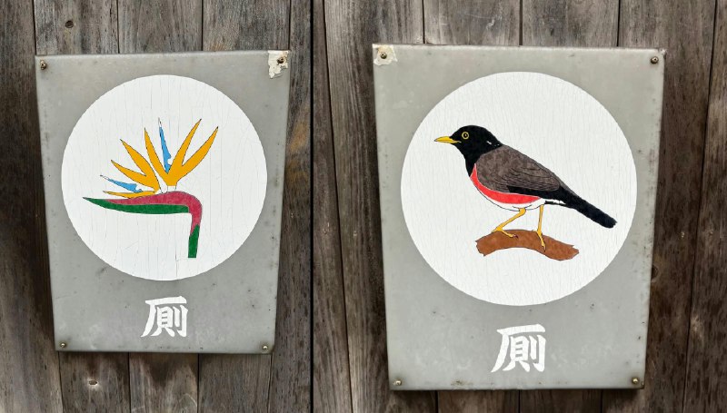 浜尻六彁 🍄🌪️ はまじり ろっか (@qlocka)