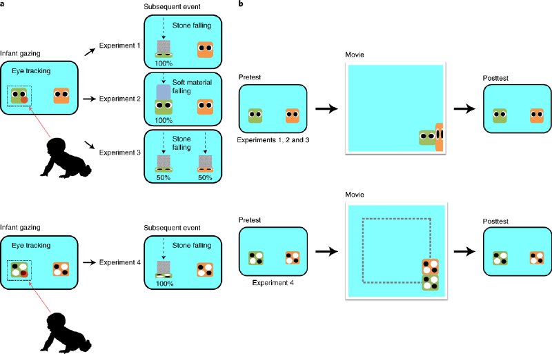 Third-party punishment by preverbal infants