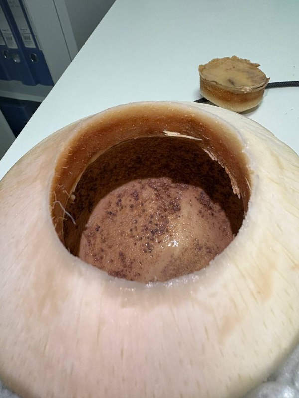 要是我明天没有上线那我就是被盒马害死了要是我明天没有上线那我就是被盒马害死了