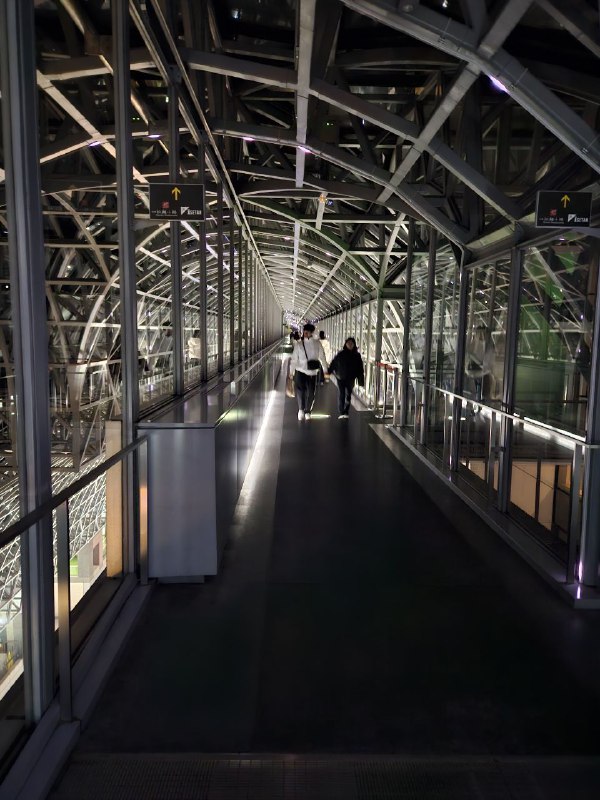 京都駅で駅自体も観光地何ってすごいなエスカレーターを利用してる時に前にいった日本人女性たちが思わずにキャーとしてた