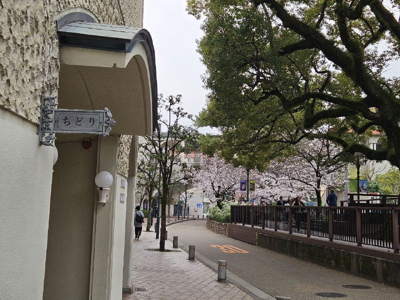 赶着去看演出所以没有时间好好拍照😓赶着去看演出所以没有时间好好拍照😓