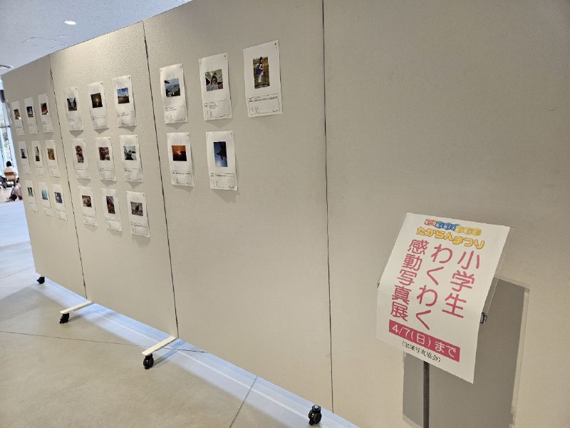 小学生わくわく感動写真展也很有意思，我一边看一边笑明明记得拍了好多照片，怎么现在只能找到这几张了……（拍图四时才逛过姬路城不久，深有体会小学生わくわく感動写真展也很有意思，我一边看一边笑明明记得拍了好多照片，怎么现在只能找到这几张了……（拍图四时才逛过姬路城不久，深有体会