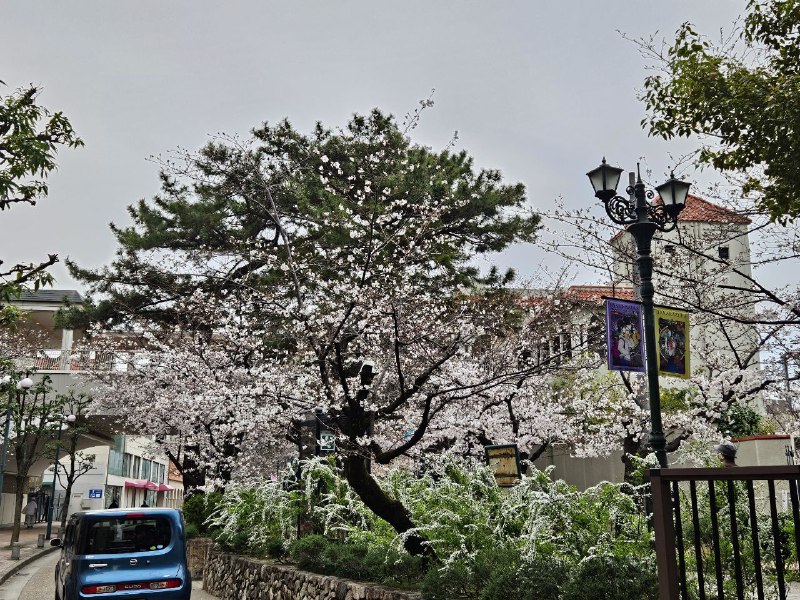 赶着去看演出所以没有时间好好拍照😓赶着去看演出所以没有时间好好拍照😓