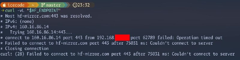 谁懂老家的垃圾网络连上 hf-mirror 都要翻墙的感受（（