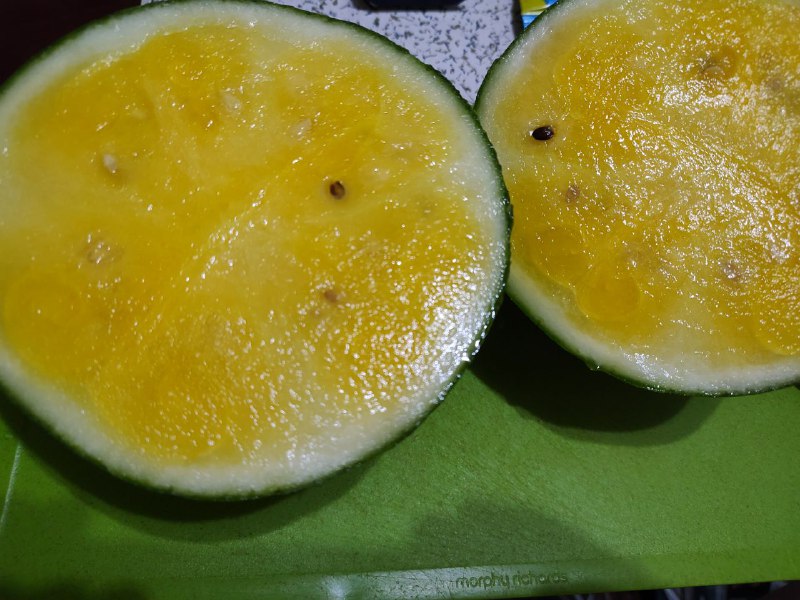 第一次吃到黄色瓤的西瓜