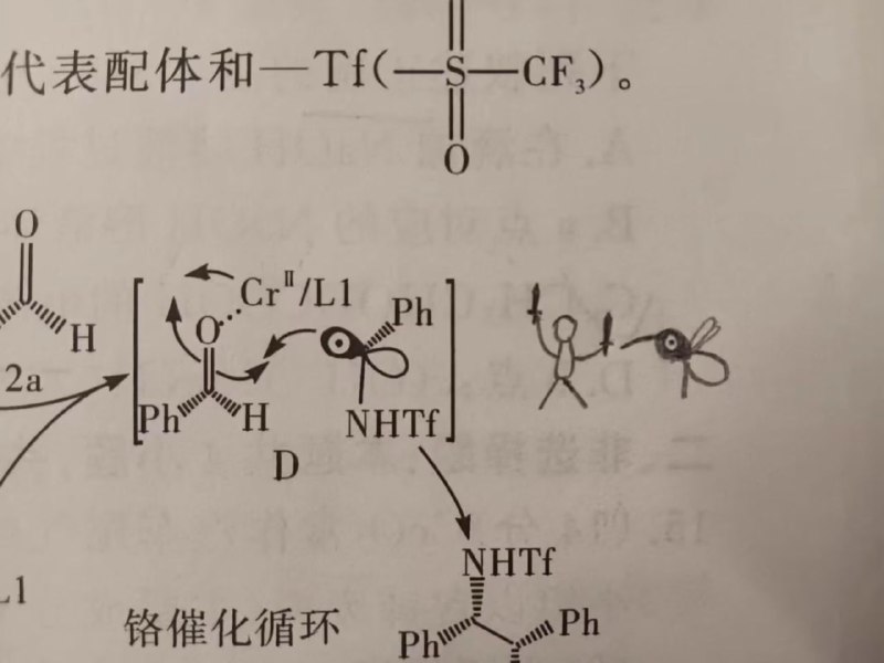 人类大战蚊子