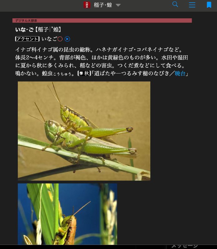 其他几个中招的：熨斗稲子お安くない#TIL 相好を崩すお釈迦になるご法度其他几个中招的：熨斗稲子お安くない#TIL 相好を崩すお釈迦になるご法度