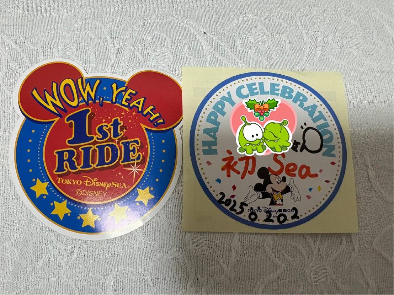 人生初のディズニーが東京で良かった最高の思い出ができた人生第一次迪士尼乐园是在东京打卡的，实在是正确的选择