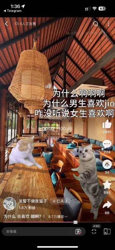 笑不活了啊哈哈哈哈笑不活了啊哈哈哈哈