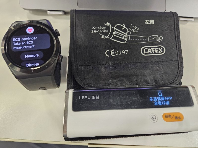 作为帕鲁的觉悟拉满了（用了一个月智能手表以后发现手表还是不适合干这个事，买了专门的血压计首先之前追求便携的思路是对的，不然机器一定只会扔在家里吃灰