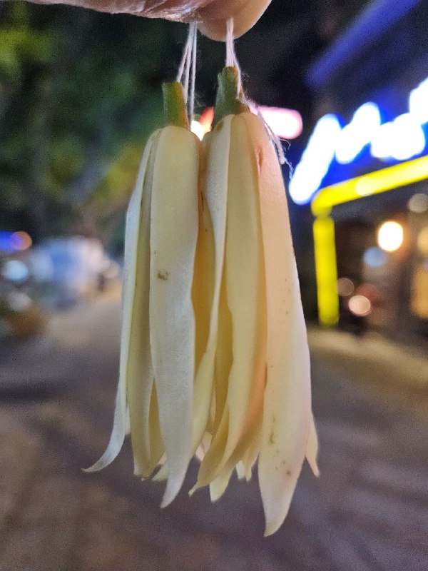 1. 以前常吃的店一家家都不见了，好在最中意的一家一直坚持了下来