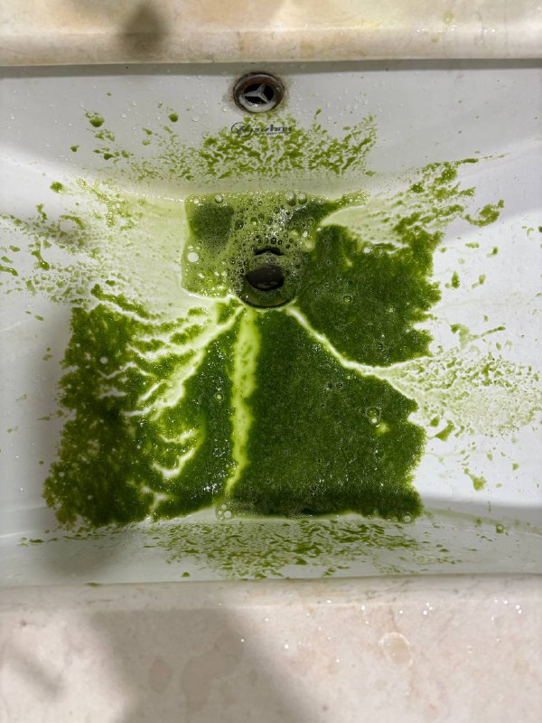 路边的野花你不要采…