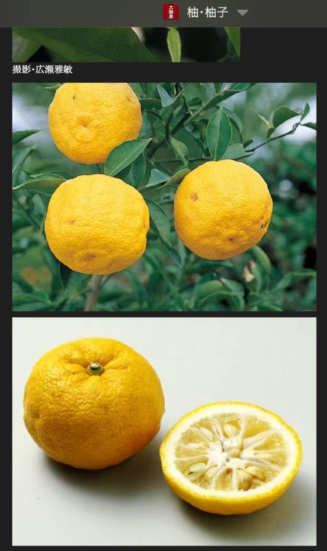 第一个中招的：柚子