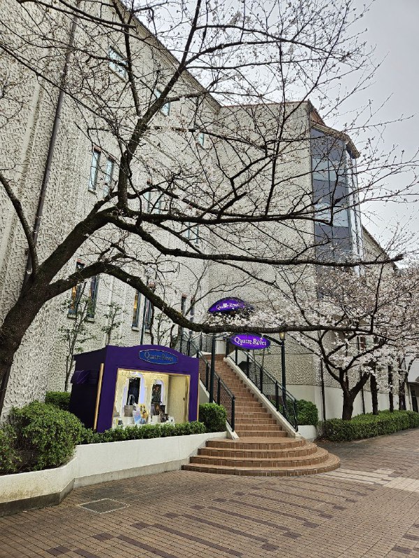 赶着去看演出所以没有时间好好拍照😓赶着去看演出所以没有时间好好拍照😓