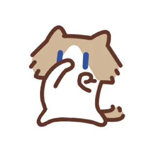Video Sticker